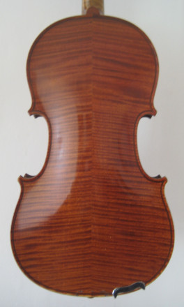 violin back