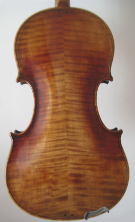 violin back